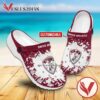 AE Larissa Custom Name Crocs Clogs, Unique Footwear For Fans
