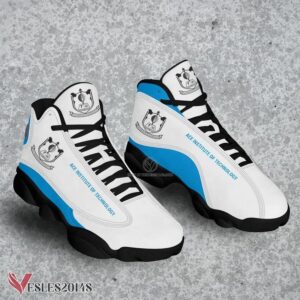 Ace Institute of Technology Air Jordan 13 Shoes, Best Sneaker Gifts For Fans - Vesles2014s