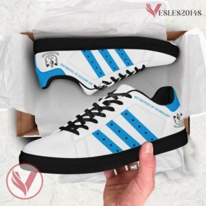Ace Institute of Technology Stan Smith Shoes, Unique Sneaker For Fans - Vesles2014s 1