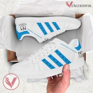 Ace Institute of Technology Stan Smith Shoes, Unique Sneaker For Fans - Vesles2014s