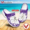 Agnes Scott College Custom Crocs Clogs, Unique Footwear For Fans