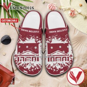 Albany College of Pharmacy and Health Sciences Crocs Clogs, Unique Footwear For Fans 1