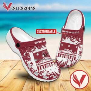 Albany College of Pharmacy and Health Sciences Crocs Clogs, Unique Footwear For Fans