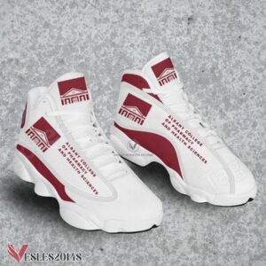 Albany College of Pharmacy and Health Sciences Logo Air Jordan 13 Shoes, Best Sneaker Gifts For Fans - Vesles2014s