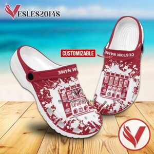 Albany Law School Crocs Clogs, Unique Footwear For Fans