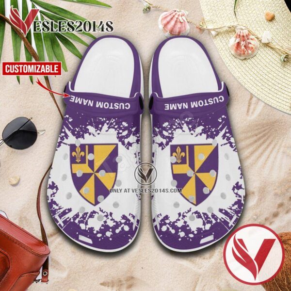 Albion College Crocs Clogs, Unique Footwear For Fans 1