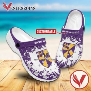 Albion College Crocs Clogs, Unique Footwear For Fans