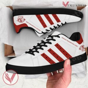 Arkadia Traiskirchen Lions Sport Stan Smith Shoes, Unique Sneaker For Fans - Vesles2014s 1