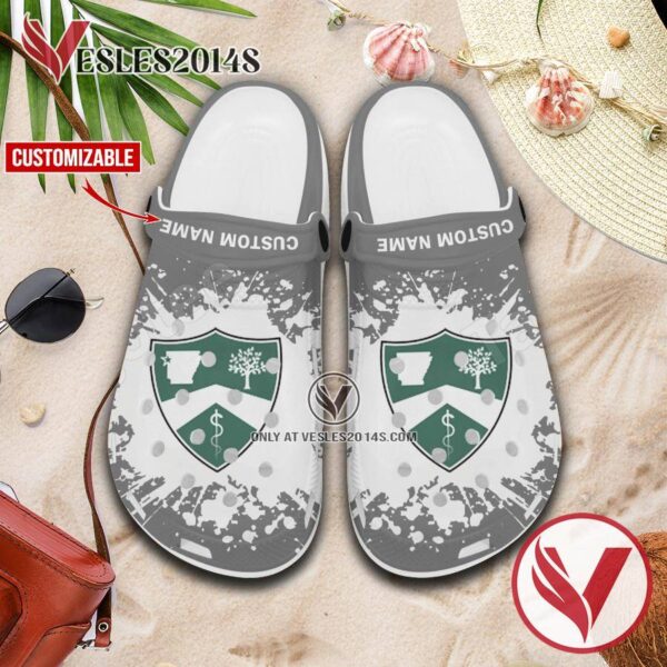 Arkansas Colleges of Health Education Custom Crocs Clogs, Unique Footwear For Fans 1