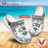 Arkansas Colleges of Health Education Custom Crocs Clogs, Unique Footwear For Fans