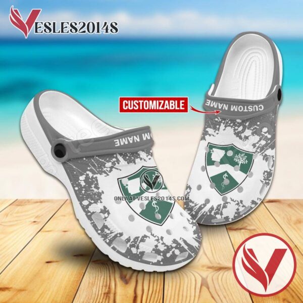 Arkansas Colleges of Health Education Custom Crocs Clogs, Unique Footwear For Fans