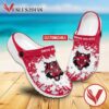 Arkansas State Logo Custom Crocs Clogs, Unique Footwear For Fans