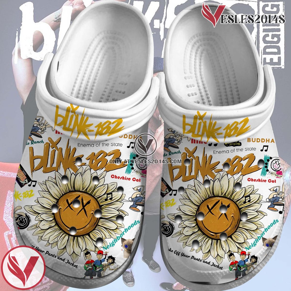 Blink-182 Band Music Crocs Crocband Clogs Shoes, Unique Gifts For Fans Style 1 - Vesles2014S 2