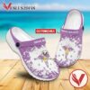 CAAN Academy of Nursing Crocs Clogs Shoes, Unique Footwear For Fans
