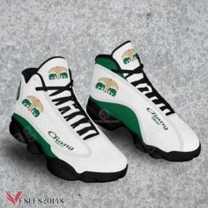 Chang Beer Logo Air Jordan 13 Shoes, Best Sneaker Gifts For Fans - Vesles2014s 1