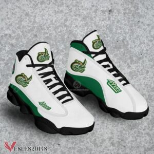 Charlotte 49 ERS NCAA Logo Air Jordan 13 Shoes, Best Sneaker Gifts For Fans - Vesles2014s 1
