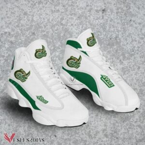 Charlotte 49 ERS NCAA Logo Air Jordan 13 Shoes, Best Sneaker Gifts For Fans - Vesles2014s
