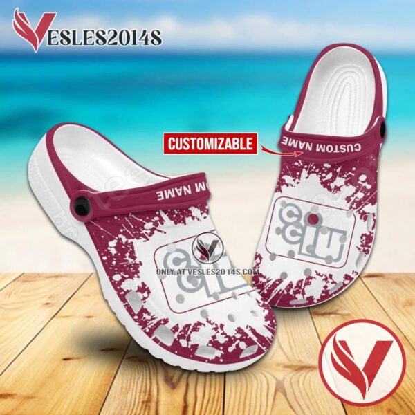 Chester County Intermediate Unit Custom Crocs Clogs, Unique Footwear For Fans