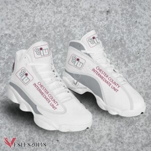Chester County Intermediate Unit Logo Air Jordan 13 Shoes, Best Sneaker Gifts For Fans - Vesles2014s 1
