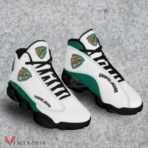 Chiapas FC Air Jordan 13 Shoes, Best Sneaker Gifts For Fans - Vesles2014s 1