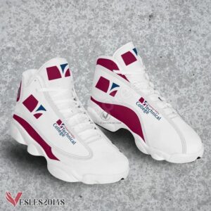 Chippewa Valley Technical College Logo Air Jordan 13 Shoes, Best Sneaker Gifts For Fans - Vesles2014s 1