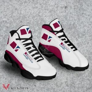 Chippewa Valley Technical College Logo Air Jordan 13 Shoes, Best Sneaker Gifts For Fans - Vesles2014s