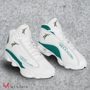 College of Biblical Studies-Houston Logo Air Jordan 13 Shoes, Best Sneaker Gifts For Fans - Vesles2014s
