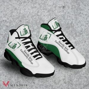 Danville Area Community College Air Jordan 13 Shoes, Best Sneaker Gifts For Fans - Vesles2014s