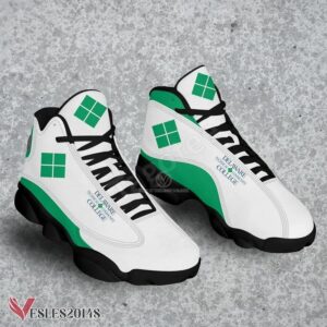 Delaware Technical & Community College Logo Air Jordan 13 Shoes, Best Sneaker Gifts For Fans - Vesles2014s