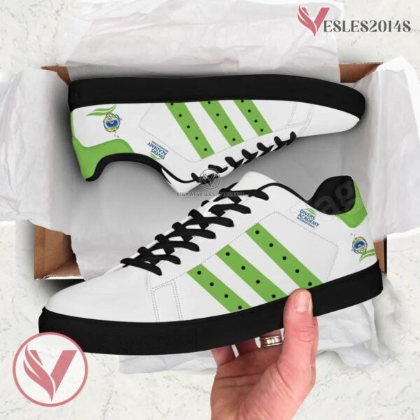 Divers Academy International Logo Low Top Shoes, Unique Sneaker For Fans - Vesles2014s 1