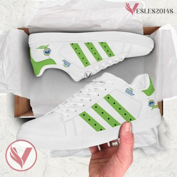 Divers Academy International Logo Low Top Shoes, Unique Sneaker For Fans - Vesles2014s