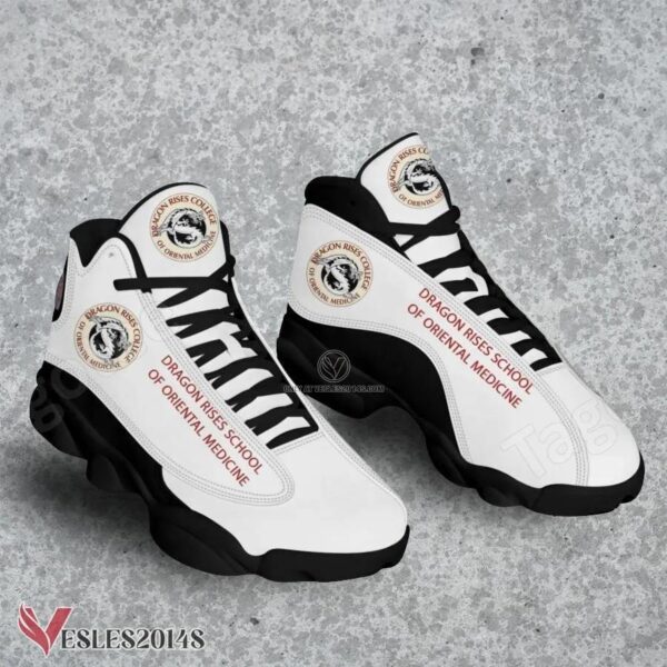 Dragon Rises School of Oriental Medicine Air Jordan 13 Shoes, Best Sneaker Gifts For Fans - Vesles2014s