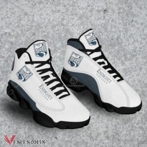 Endicott College Logo Air Jordan 13 Shoes, Best Sneaker Gifts For Fans - Vesles2014s 1
