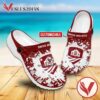 Felbry College School of Nursing Personalized Crocs Shoes For Men And Women, Unique Clogs Shoes For Fans - Vesles2014S