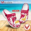 Ferris State University Custom Crocs Shoes For Men And Women, Unique Clogs Shoes For Fans - Vesles2014S