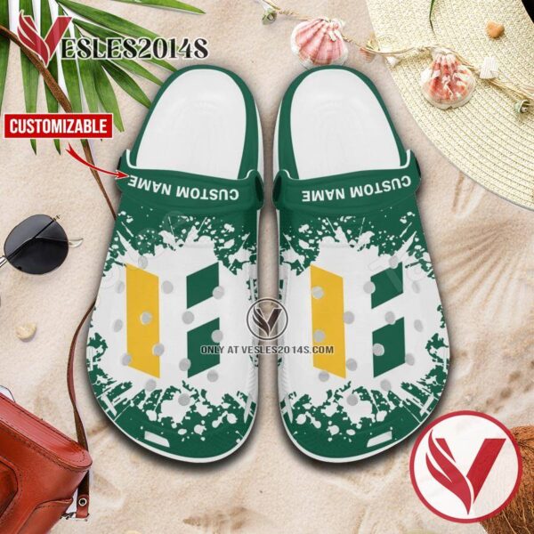 Fitchburg State University Custom Crocs Shoes For Men And Women, Unique Clogs Shoes For Fans - Vesles2014S 1