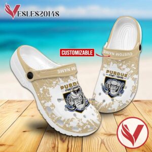 Indiana University – Purdue University Fort Wayne Custom Crocs Shoes For Men And Women, Unique Clogs Shoes For Fans - Vesles2014S