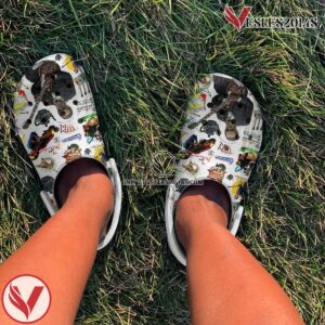 Joe Bonamassa Music Premium Crocs Crocband Clogs Shoes, Unique Gifts For Fans - Vesles2014S 3