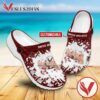 Lee Professional Institute Custom Crocs Shoes For Men And Women, Unique Clogs Shoes For Fans - Vesles2014S