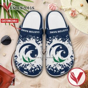 Minnesota State Community and Technical College Custom Crocs Shoes For Men And Women, Unique Clogs Shoes For Fans - Vesles2014S 1