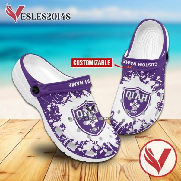 Ohio Institute of Allied Health Crocs Shoes For Men And Women, Unique Clogs Shoes For Fans - Vesles2014S