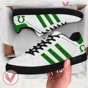 Omega Institute of Cosmetology Logo Stan Smith Shoes, Unique Sneaker For Fans - Vesles2014s 1