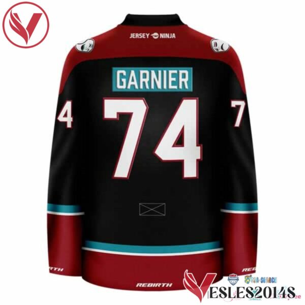 Paris Phantoms Garnier Hockey Jersey, Trending Gifts For Fans - Vesles2014s 3