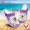 Parisian Spa Institute Crocs Shoes For Men And Women, Unique Clogs Shoes For Fans - Vesles2014S