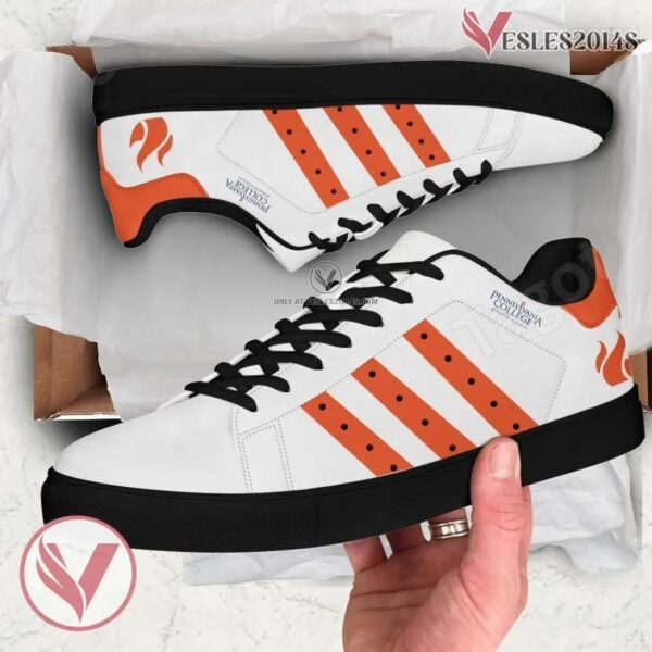 Pennsylvania College of Health Sciences Logo Stan Smith Shoes, Unique Sneaker For Fans - Vesles2014s 1