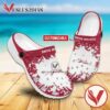 Pickens Technical College Crocs Shoes For Men And Women, Unique Clogs Shoes For Fans - Vesles2014S
