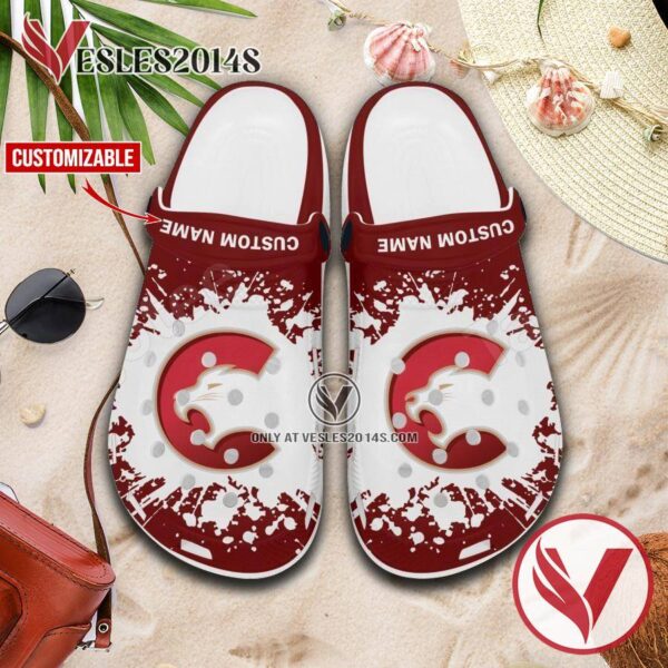 Prince George Cougars Personalized Crocs Shoes For Men And Women, Unique Clogs Shoes For Fans - Vesles2014S 1