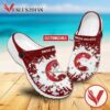 Prince George Cougars Personalized Crocs Shoes For Men And Women, Unique Clogs Shoes For Fans - Vesles2014S
