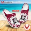 Red Deer Rebels Personalized Crocs Shoes For Men And Women, Unique Clogs Shoes For Fans - Vesles2014S