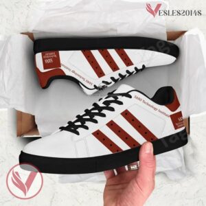 SANS Technology Institute Stan Smith Shoes, Unique Sneaker For Fans - Vesles2014s 1